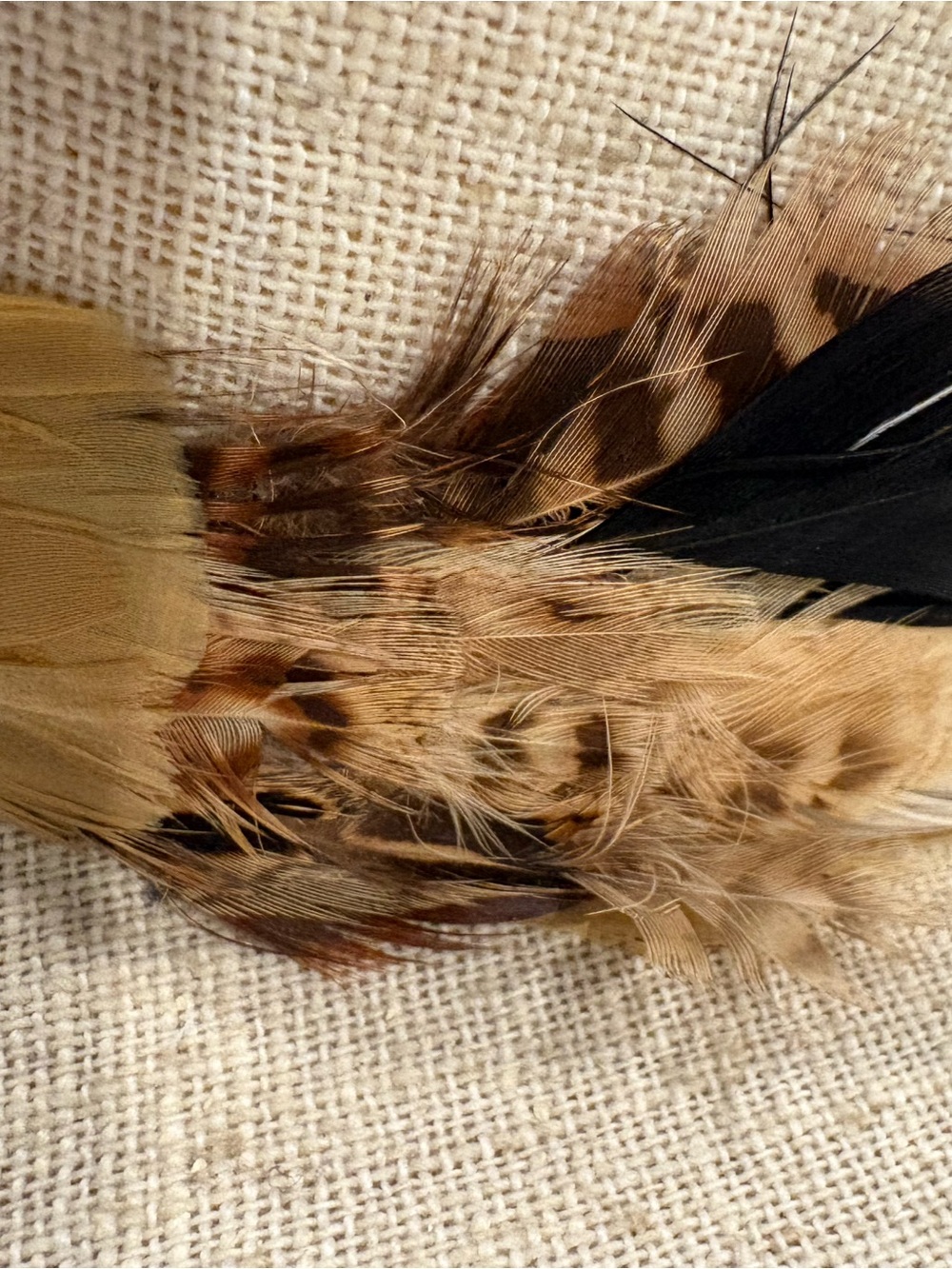 Resistol Western Cowboy Hat / Feather Hat Band / Vintage Western Style - Picture 3 of 7